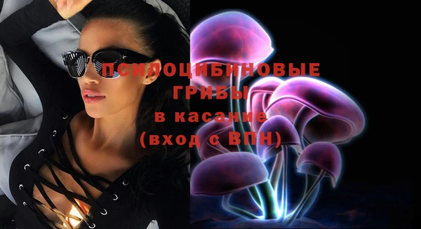 мяу мяу мука Богданович