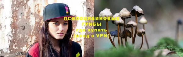 твердый Богородицк