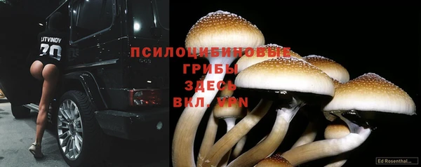 каннабис Балахна
