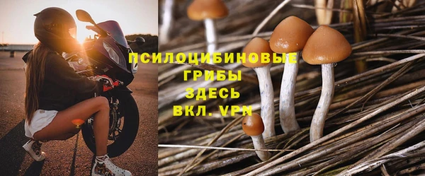 кокс Баксан